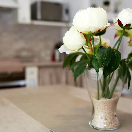 Bed & Breakfast A Casa Di Amici